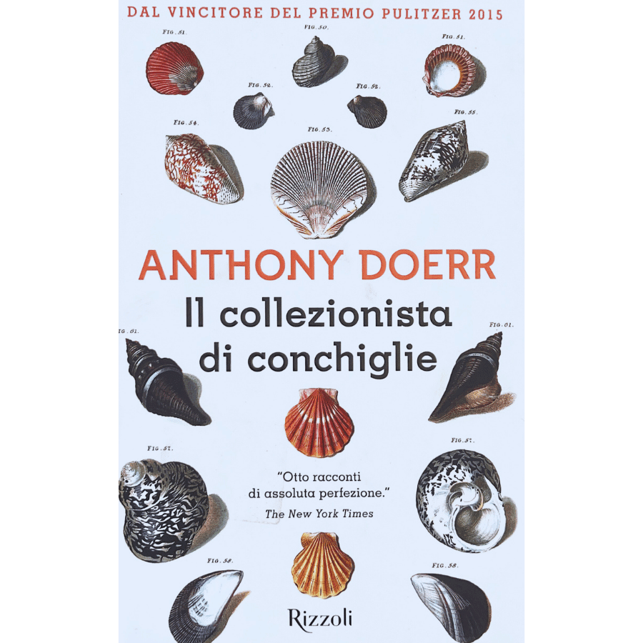 Il collezionista di conchiglie