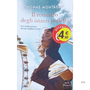 Il romanzo degli istanti perfetti