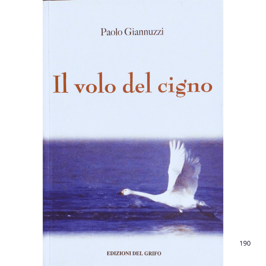 Il volo del Cigno