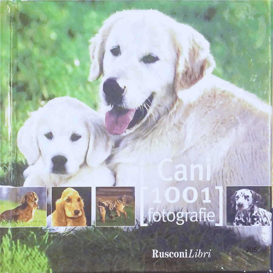 Cani-1001 fotografie